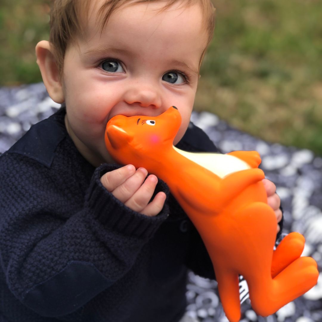 Do Teething Toys Help Teeth Come In?